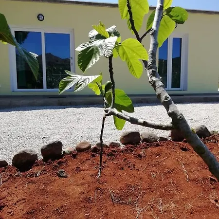 La Casa Dei Fichi *
